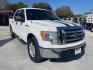 2010 Oxford White /Tan Cloth Interior Ford F-150 XLT SuperCrew 5.5-ft (1FTEW1C89AF) with an 4.6L V8 SOHC 24V engine, located at 900 South McDonald Street, McKinney, TX, 75069, (972) 529-2992, 33.189335, -96.613403 - Photo#0