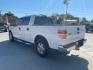 2010 Oxford White /Tan Cloth Interior Ford F-150 XLT SuperCrew 5.5-ft (1FTEW1C89AF) with an 4.6L V8 SOHC 24V engine, located at 900 South McDonald Street, McKinney, TX, 75069, (972) 529-2992, 33.189335, -96.613403 - Photo#2