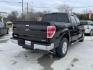 2013 Brown /Tan cloth Ford F-150 XLT SuperCrew 5.5-ft. Bed 2WD (1FTFW1CF1DF) with an 5.0L V8 engine, 6-Speed Automatic transmission, located at 900 South McDonald Street, McKinney, TX, 75069, (972) 529-2992, 33.189335, -96.613403 - Photo#4